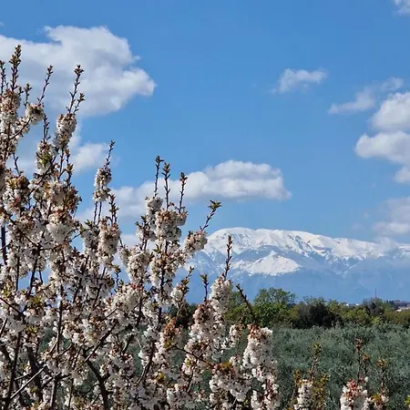 Country house Il Ciliegio